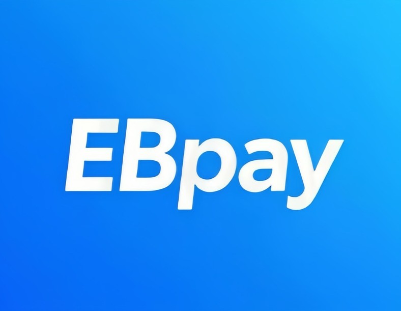 ebpay官网界面说明图